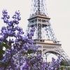 purpleparis1999